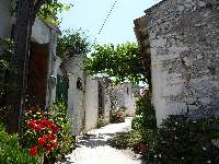 The street Haldane and Annika walked up to the old house where they stand discussing Annika's ancestary